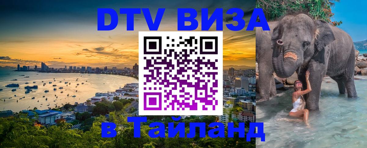 Сколько стоит DTV виза — актуальные цены, оформление даже без документов - 
